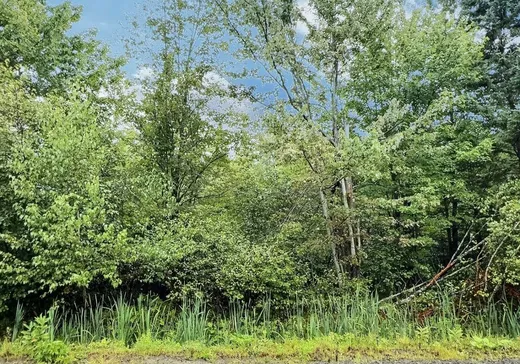 Land for Sale - 51 Rue des Pionniers, Saint-Louis-de-Blandford, G0Z 1B0