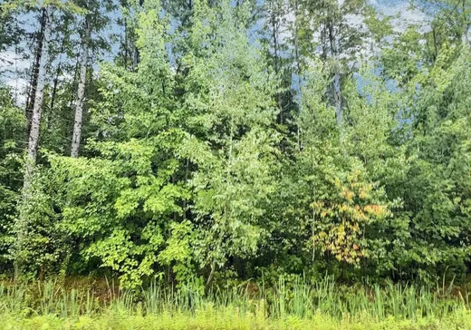 Land for Sale - 51 Rue des Pionniers, Saint-Louis-de-Blandford, G0Z 1B0