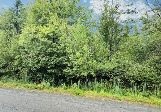 Land for Sale - 51 Rue des Pionniers, Saint-Louis-de-Blandford, G0Z 1B0