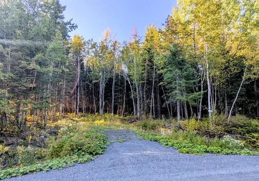 Land for Sale - 1025 Ch. des Hauts-Cantons, Stratford, G0Y 1P0