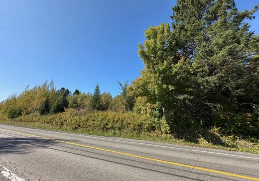 Land for Sale -  Av. Ste-Brigitte, Ste-Brigitte-De-Laval, G0A 3K0