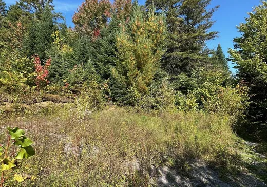 Land for Sale -  Av. Ste-Brigitte, Ste-Brigitte-De-Laval, G0A 3K0