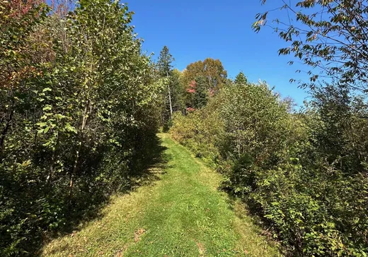 Land for Sale -  Av. Ste-Brigitte, Ste-Brigitte-De-Laval, G0A 3K0