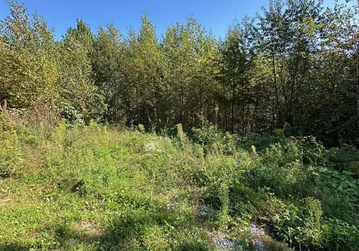 Land for Sale -  Av. Ste-Brigitte, Ste-Brigitte-De-Laval, G0A 3K0