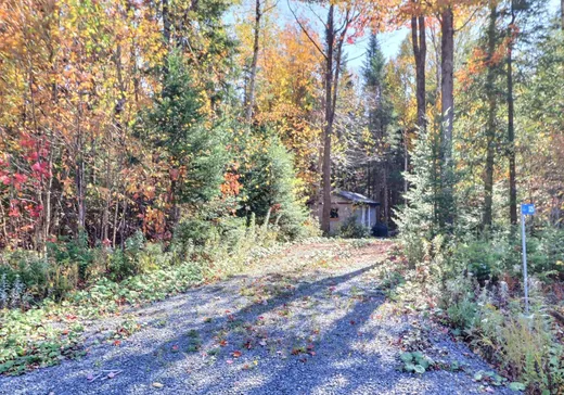 Land for Sale - 325 Ch. des Bernaches, Stratford, G0Y 1P0