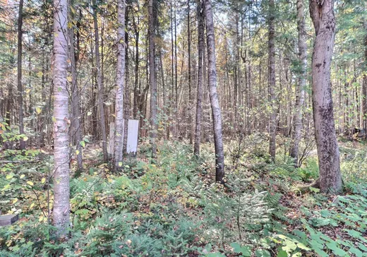 Land for Sale - 325 Ch. des Bernaches, Stratford, G0Y 1P0