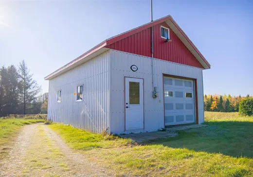 Terrain à vendre - 8864 Rg B-et-C, Thetford Mines, G0N 1E0