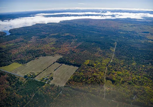 Terrain à vendre - 8864 Rg B-et-C, Thetford Mines, G0N 1E0