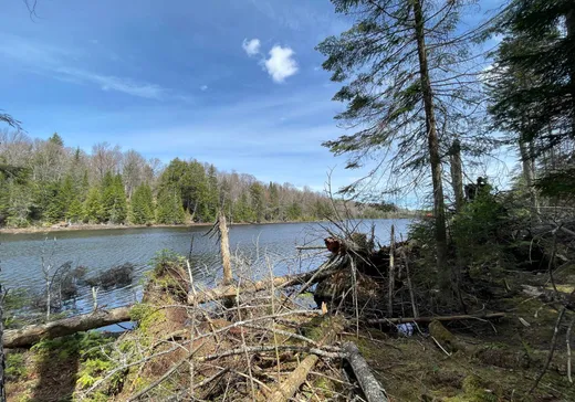 Land for Sale -  Ch. du Lac-Rond, Wentworth, J0T 1Y0