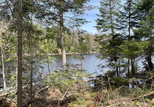 Land for Sale -  Ch. du Lac-Rond, Wentworth, J0T 1Y0
