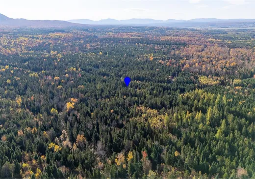 Land for Sale - 46 Ch. des Érables, Lac-Mégantic, J0B 1Y0