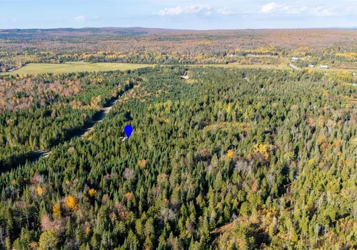 Land for Sale - 46 Ch. des Érables, Lac-Mégantic, J0B 1Y0