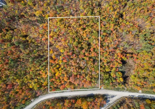 Land for Sale - 34 Ch. de la Tanière, Eastman, J0E 1P0