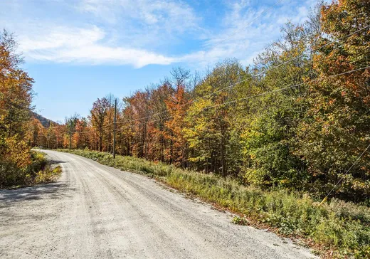Land for Sale - 34 Ch. de la Tanière, Eastman, J0E 1P0