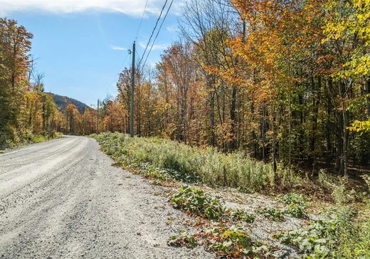 Land for Sale - 34 Ch. de la Tanière, Eastman, J0E 1P0