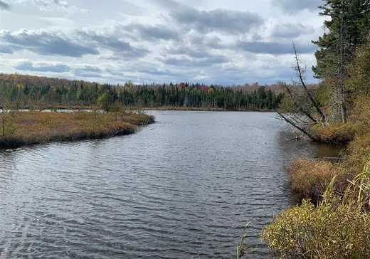 Land for Sale - 9430 Rue des Érables, Lac-Drolet, G0Y 1C0