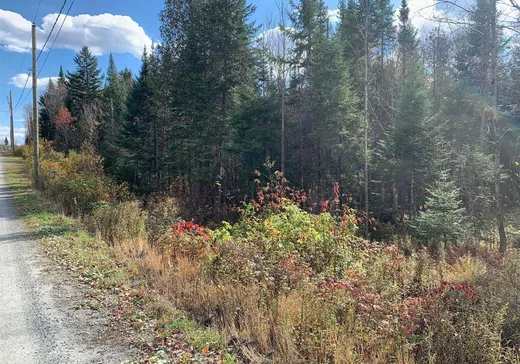 Land for Sale - 9430 Rue des Érables, Lac-Drolet, G0Y 1C0