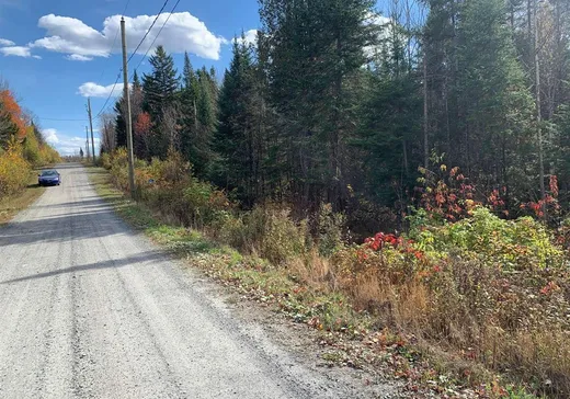 Land for Sale - 9430 Rue des Érables, Lac-Drolet, G0Y 1C0
