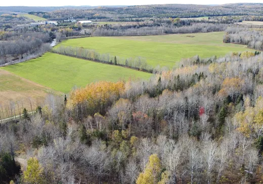 Land for Sale -  Rue des Pins O., Témiscouata-sur-le-Lac, G0L 2B0