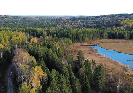 Terrain à vendre - 146 Rg du Lac, Saint-Magloire, G0R 3M0
