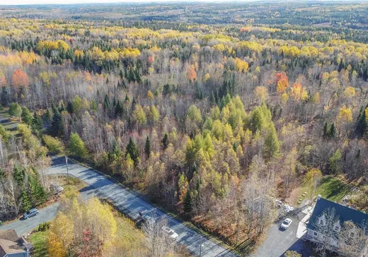 Terrain à vendre - 01 Rue du Boisé, St-Benjamin, G0M 1N0