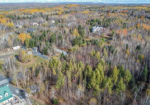 Terrain à vendre - 01 Rue du Boisé, St-Benjamin, G0M 1N0