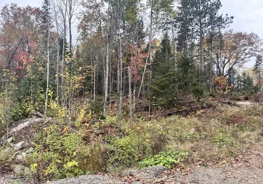 Land for Sale -  Ch. des Histoires, Notre-Dame-de-Pontmain, J0W 1S0