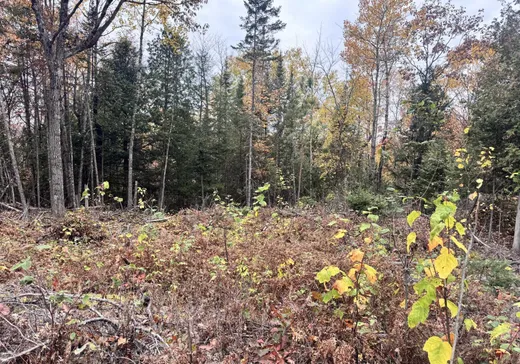 Land for Sale -  Ch. des Histoires, Notre-Dame-de-Pontmain, J0W 1S0