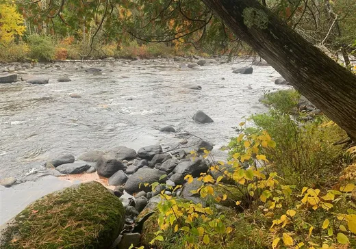 Land for sale - 7816 Ch. du Barrage, Frontenac, G6B2S1