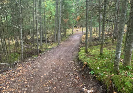 Land for Sale - 7816 Ch. du Barrage, Frontenac, G6B 2S1