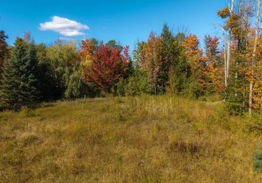 Land for Sale - 116 Rue des Grives, Magog, J1X 0M9