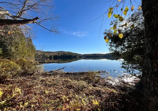 Land for sale - 6 Ch. Bergeron, Bolton-Est, J0E1G0