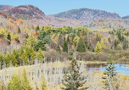 Terrain à vendre -  Ch. du Lac-Commandant, Grenville, J0V1B0