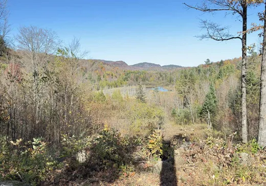 Terrain à vendre -  Ch. du Lac-Commandant, Grenville, J0V 1B0