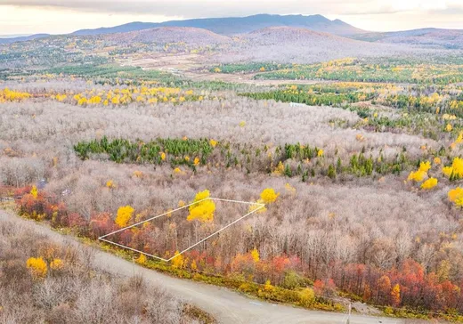 Land for sale - 18 Ch. des Outardes, Notre-Dame-Des-Boies, J0B2E0