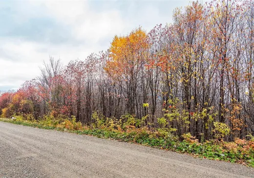Land for Sale - 18 Ch. des Outardes, Notre-Dame-Des-Boies, J0B 2E0