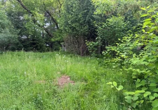 Terrain à vendre - 201 Rue Ste-Marguerite, St-Alexis-Des-Monts, J0K1V0