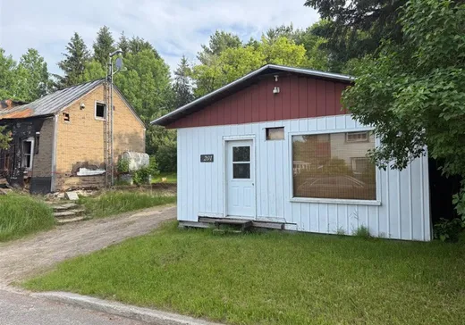 Terrain à vendre - 201 Rue Ste-Marguerite, St-Alexis-Des-Monts, J0K 1V0