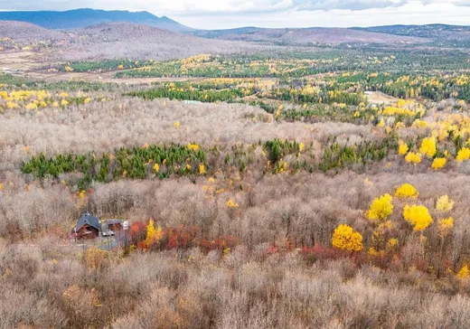 Land for Sale - 16 Ch. des Outardes, Notre-Dame-Des-Boies, J0B 2E0