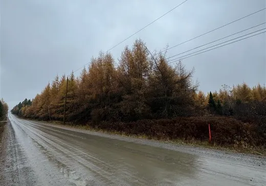Terrain à vendre - 93 8e Rang O., App. 1, Notre-Dame-Des-Boies, J0B2E0