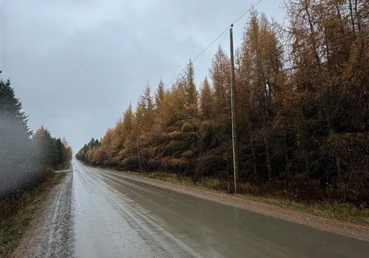 Terrain à vendre - 93 8e Rang O., App. 1, Notre-Dame-Des-Boies, J0B 2E0