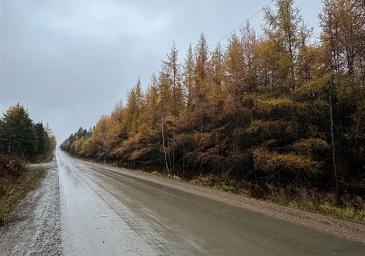 Terrain à vendre - 93 8e Rang O., App. 1, Notre-Dame-Des-Boies, J0B 2E0
