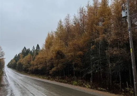 Terrain à vendre - 93 8e Rang O., App. 1, Notre-Dame-Des-Boies, J0B 2E0