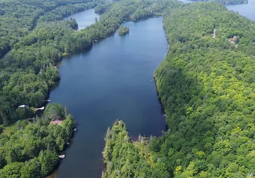 Terrain à vendre - 10 Route des Érables, Mont-Tremblant, J0T 1M0