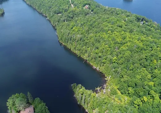 Terrain à vendre - 9 Route des Érables, Mont-Tremblant, J0T1M0