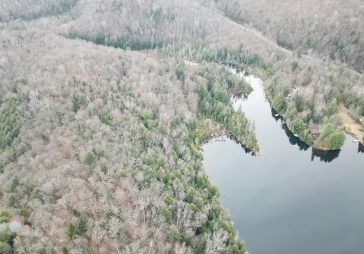 Terrain à vendre - 9 Route des Érables, Mont-Tremblant, J0T 1M0