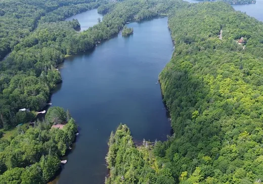 Terrain à vendre - 11 Route des Érables, Mont-Tremblant, J0T 1M0