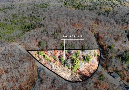 Land for sale -  Rue Hazlett-Hicks, Gore, J0V1K0