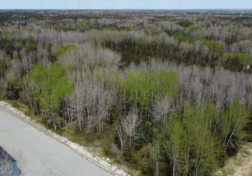 Terrain à vendre -  Av. du Lac, Preissac, J0Y 2E0