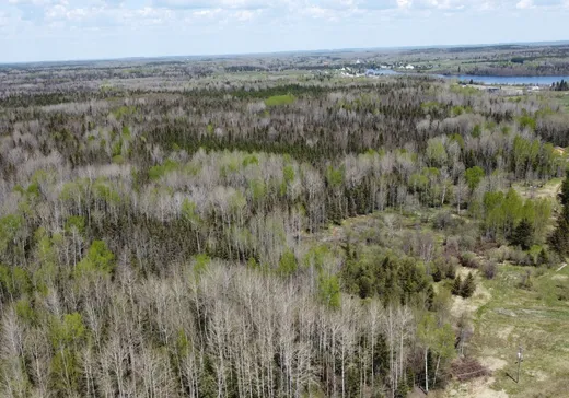 Terrain à vendre -  Av. du Lac, Preissac, J0Y2E0